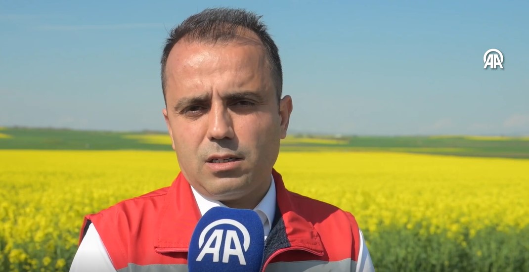 Edirne'de kuraklığa karşı alternatif olarak desteklenen kanola üretimi, 2026 sezonunda 95 bin dekar ekim alanıyla rekor kırdı. Bakanlık destekleri ve uygun yağışlar, verim beklentisini zirveye taşıdı.